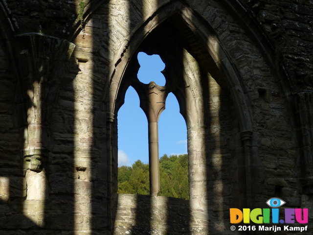 FZ033780 Shadows on Tintern Abbey